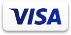 visa payment